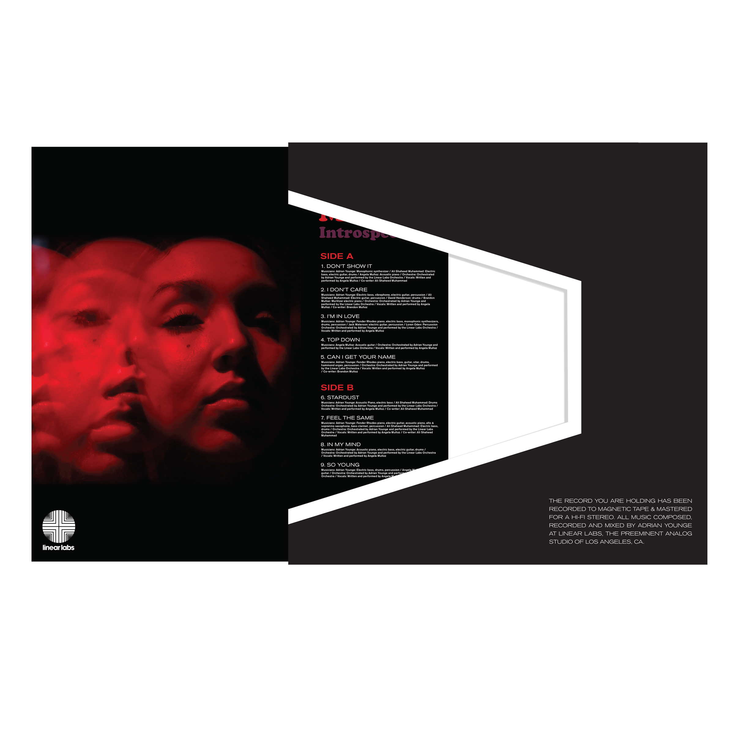 Black Dynamite LP — LINEAR LABS